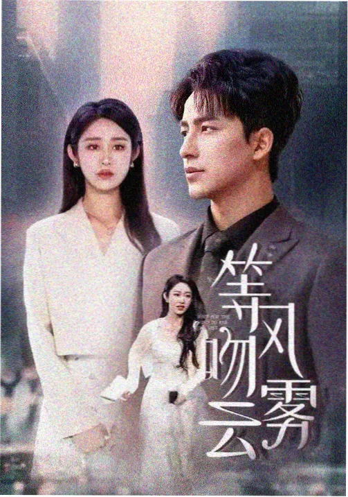 长夜微光剧集封面